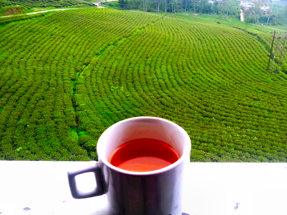 1575206061_freshly_brewed_tea_view_from_the_resort_s_balcon_20200305-133523_1