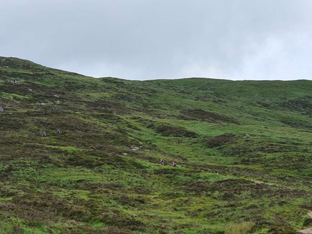 Looking up a mountain path.