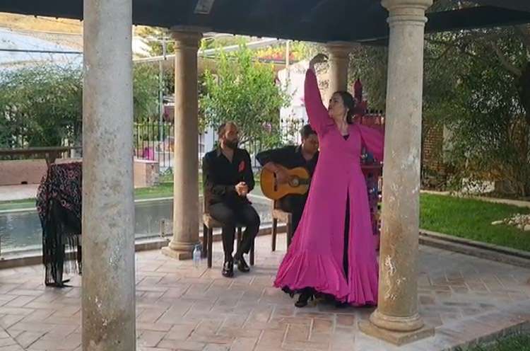 Lady dancing in a garden