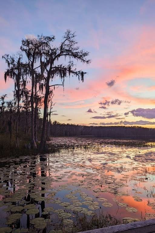 Lake Louisa State Park sunset Credit: Somebodies Productions 2024